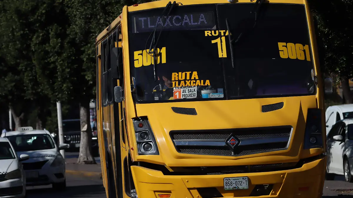 CAMIONES TARIFA SOLACHE (19)