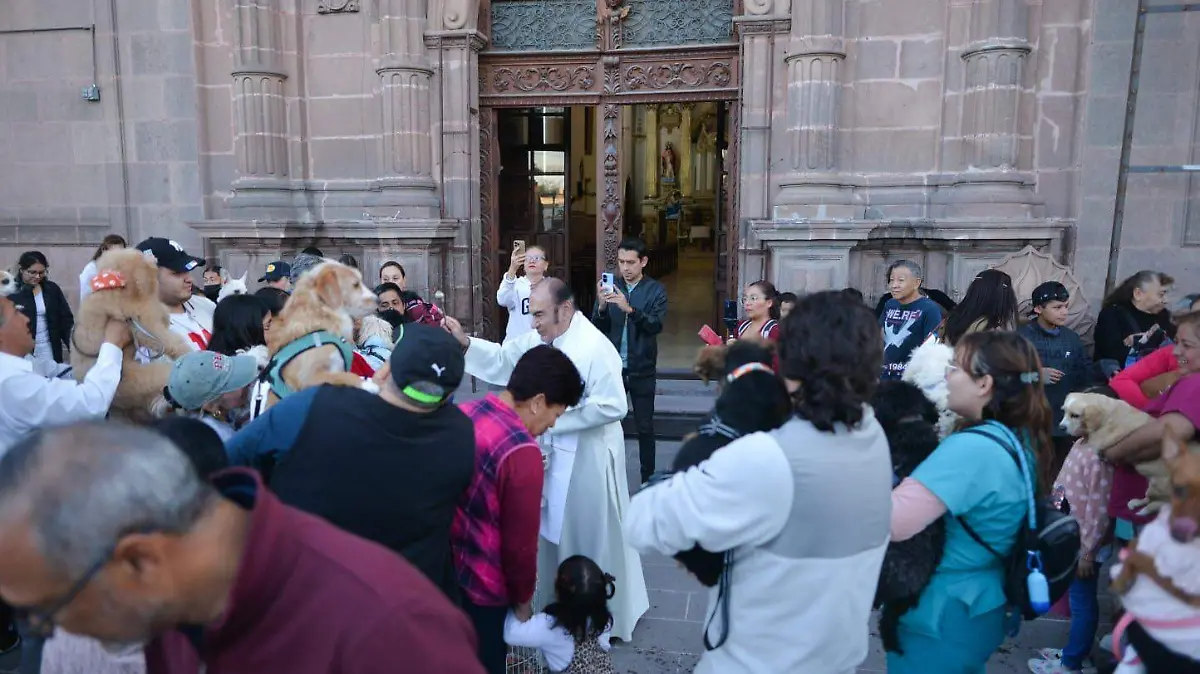 Potosinos bendicen a sus animalitos en el día de San Antonio Abad