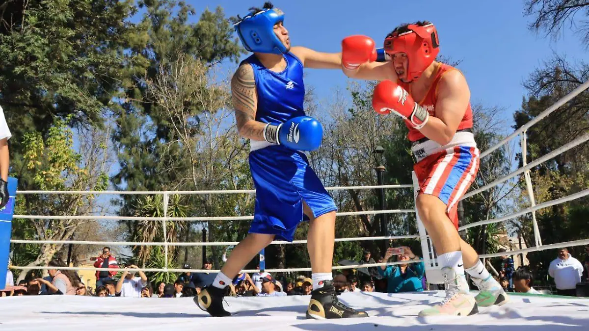 Torneo de los Barrios