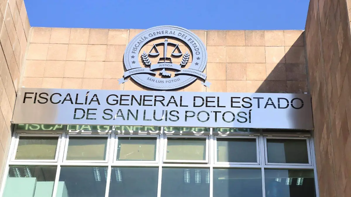 WhatsApp Image 2024-12-02 at 14.20.56