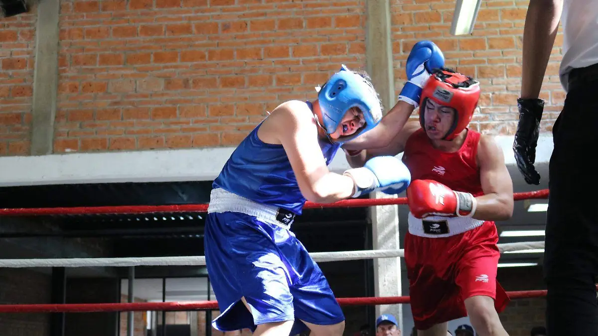 boxeadores  (1)