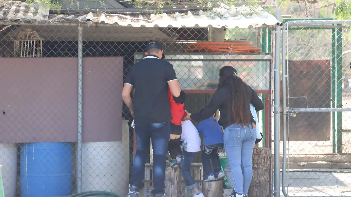 tangamanga 2 solache