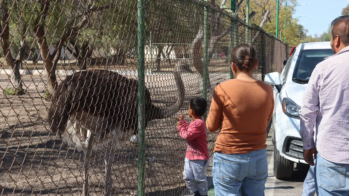 tangamanga 2 solache familia