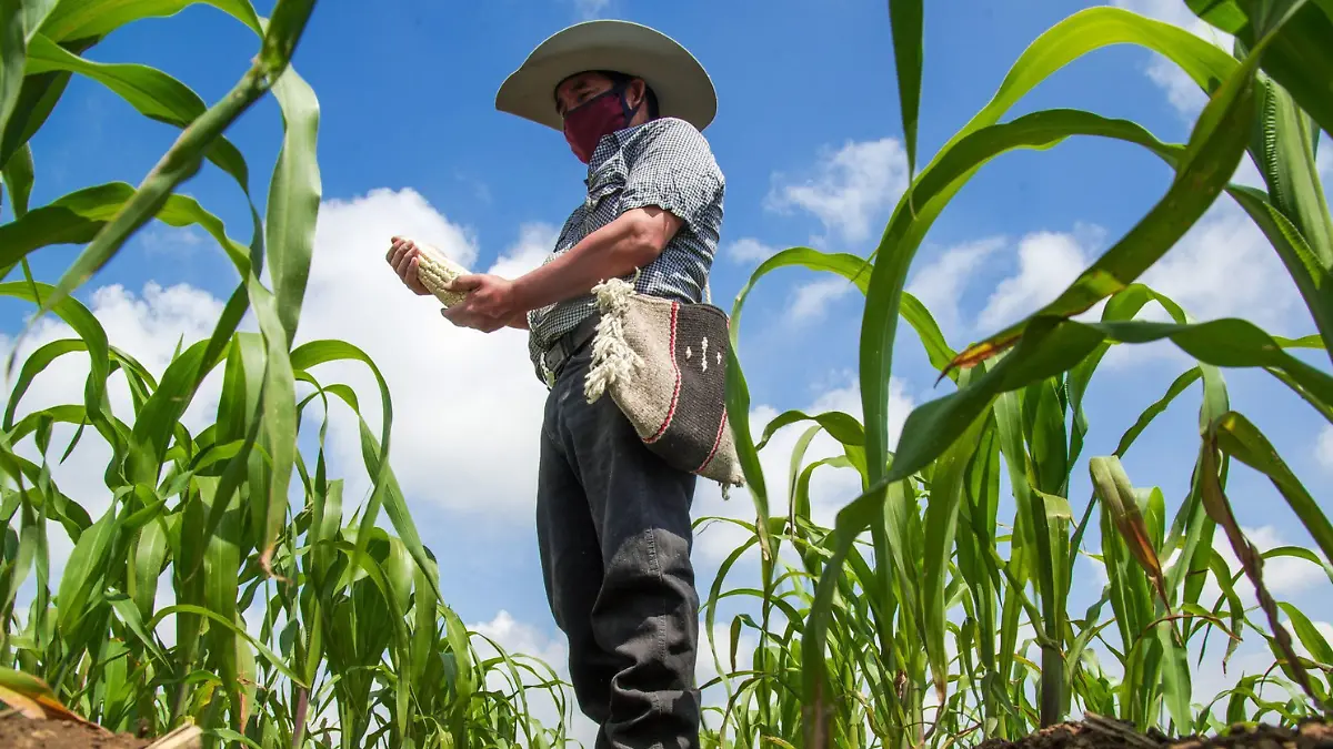 Agricultores