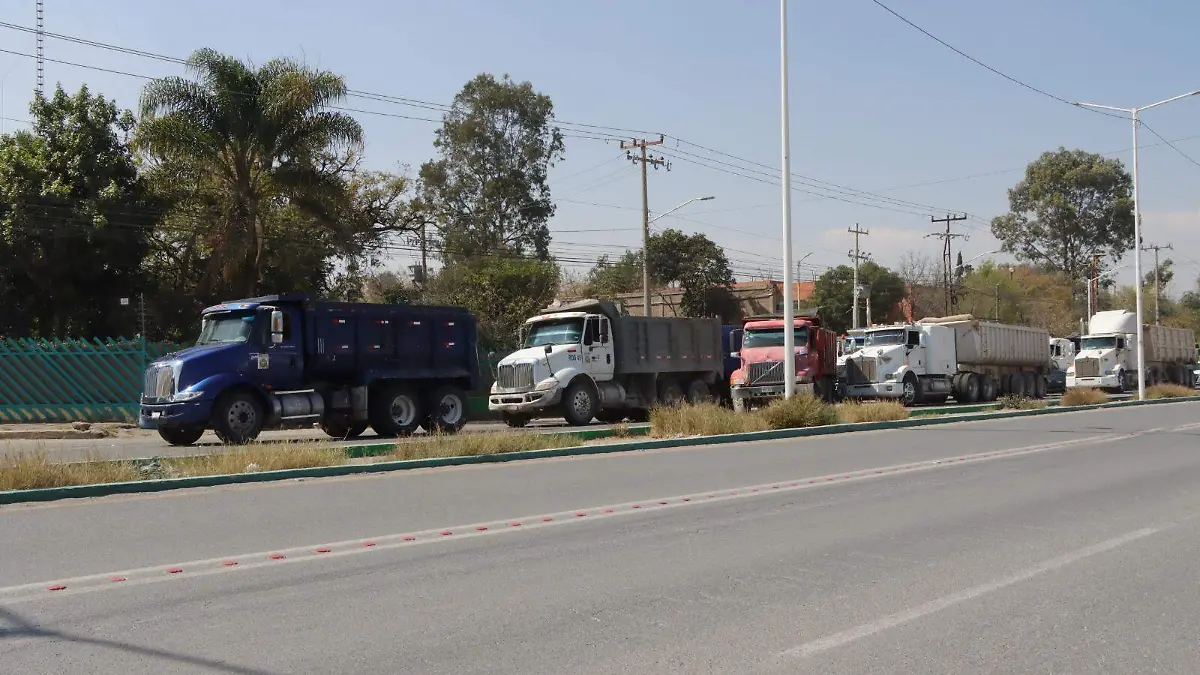 WhatsApp Image 2025-02-06 at 13.31.37