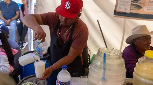 Festival del Pulque
