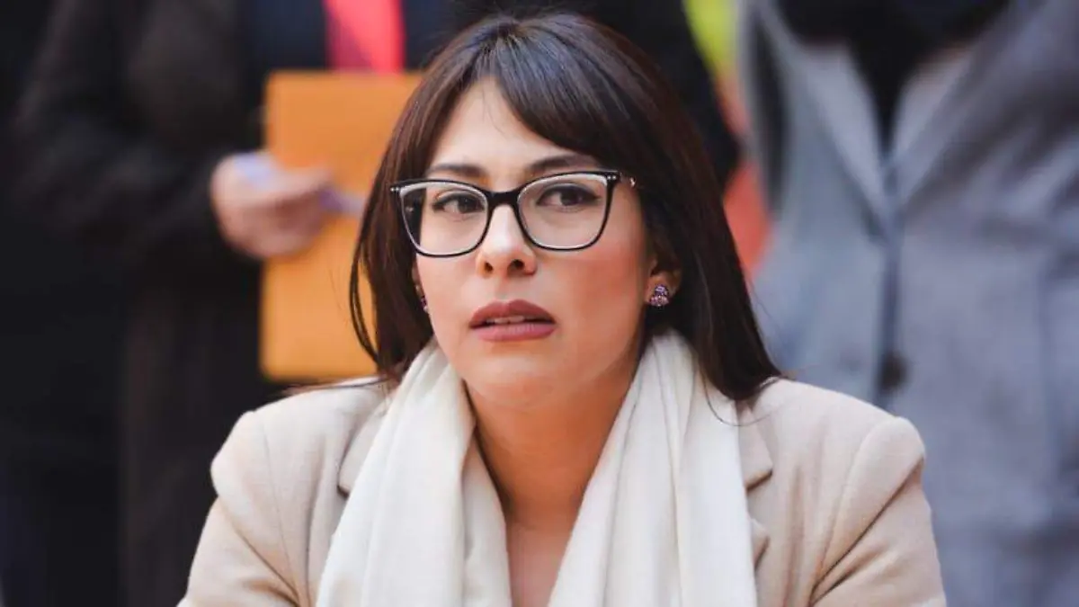 Diputada Gabriela Torres