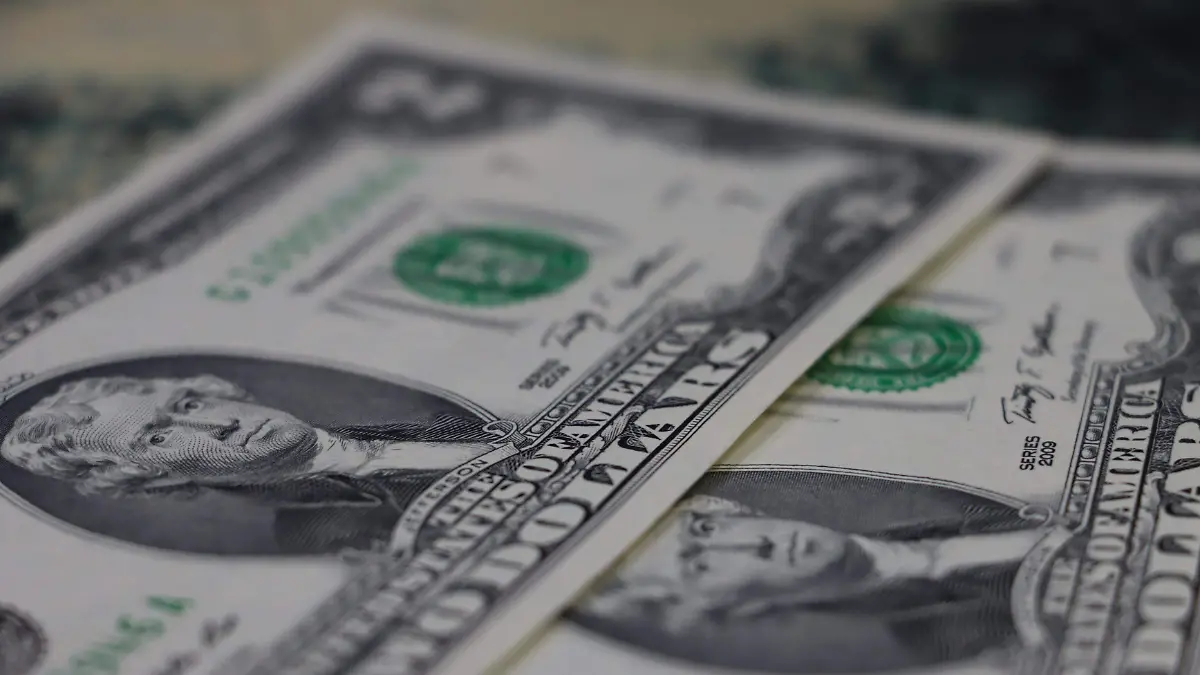 DÓLARES DIVISAS SOLACHE (5)