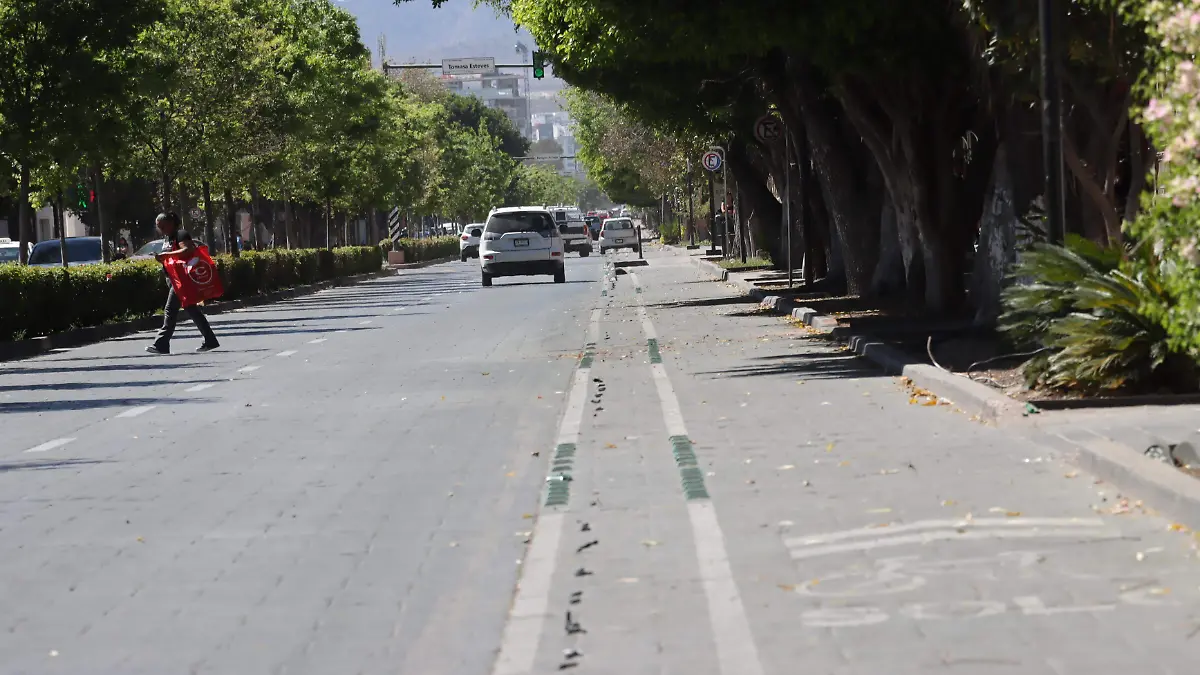 falta de mantenimiento ciclovías