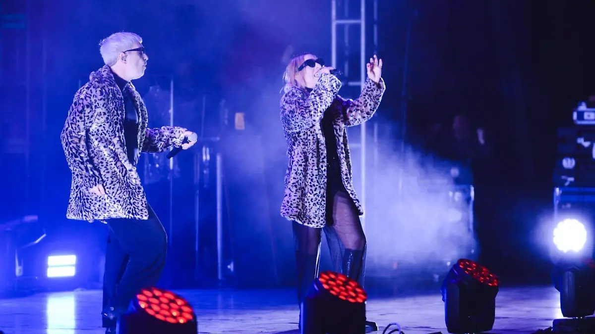 WhatsApp Image 2025-02-27 at 21.47.05