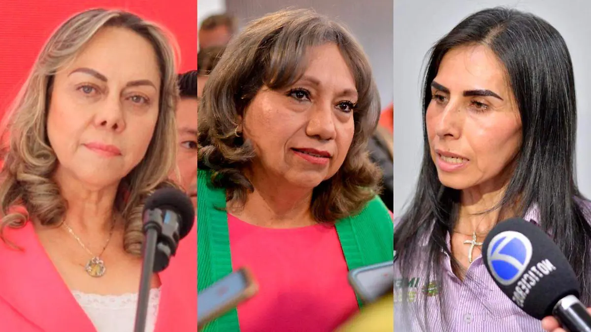 potosinas en la política