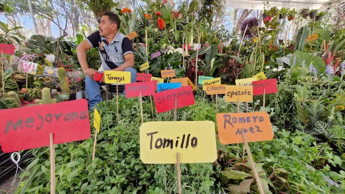 XXXIII Feria de las Flores 