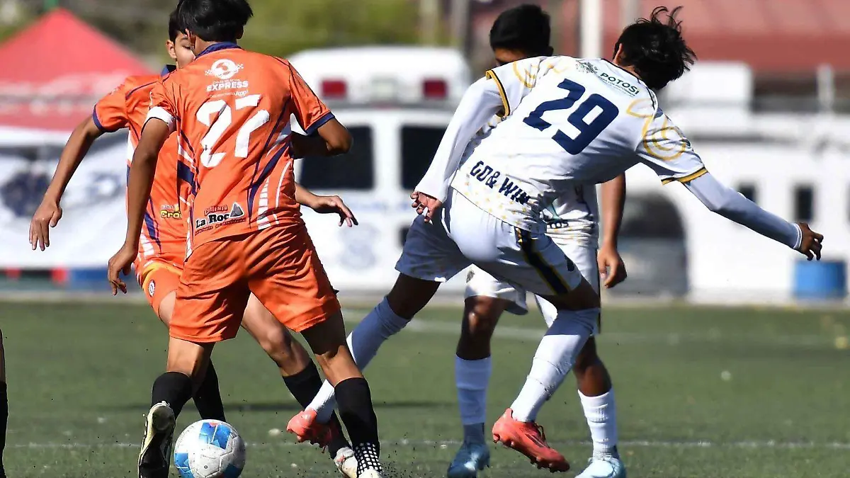 Potosinos Futbol Club