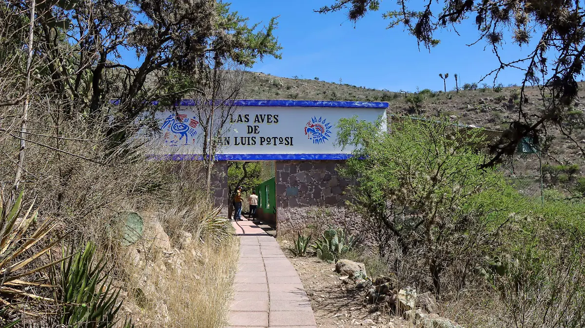 Enamórate de Mexquitic de Carmona en San Luis Potosí y su zoológico de 79 especies de animales diferentes