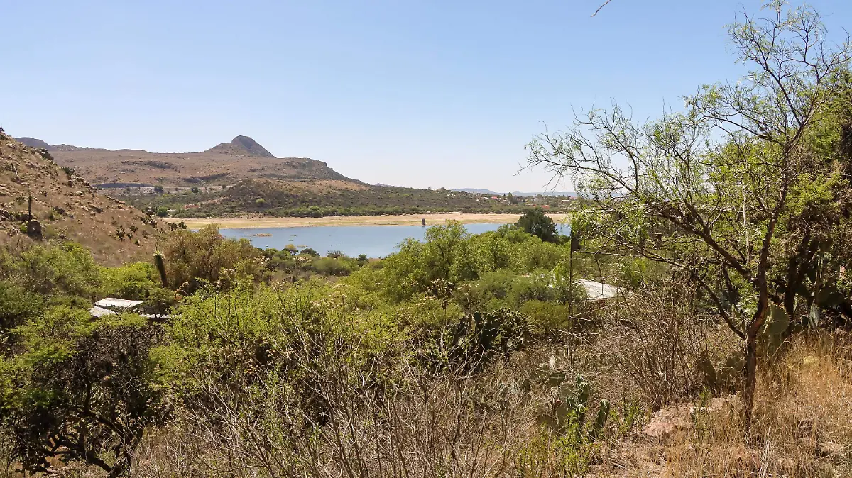 Mexquitic de Carmona