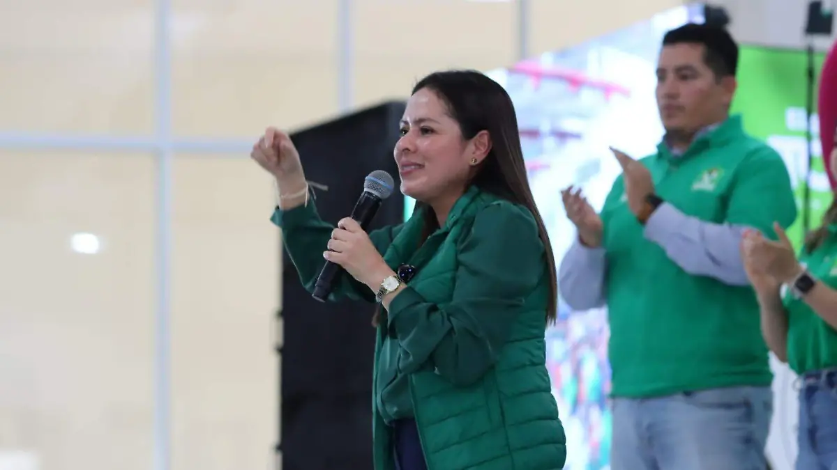 PVEM AFILIACION SOLACHE 