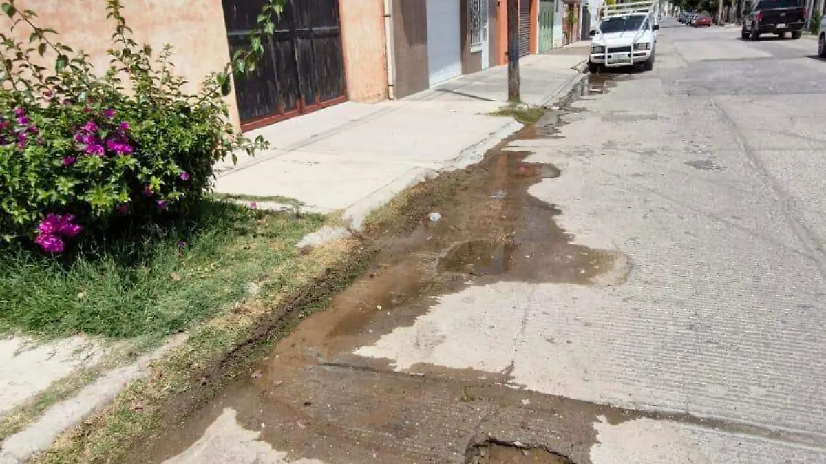 WhatsApp Image 2025-03-22 at 13.51.07