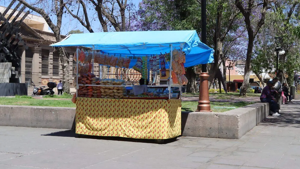 Comercio ambulante