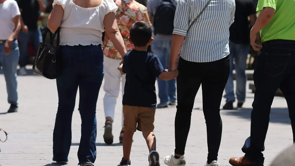 sustracción de menores