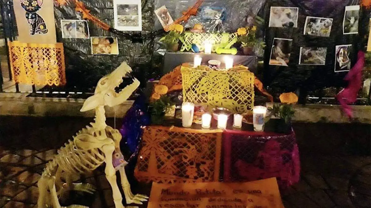 Ofrenda mascotas