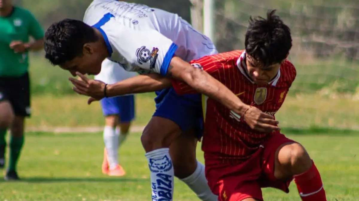 Lobos Depsa (5)