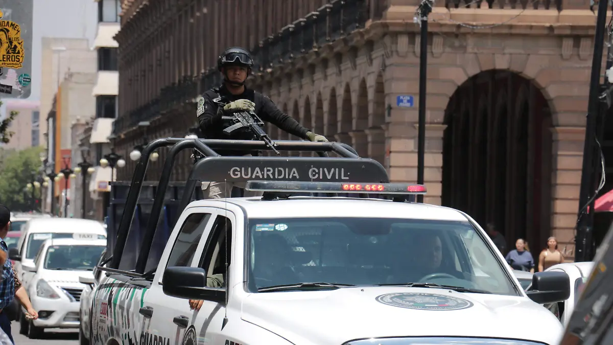 GUARDIA CIVIL ESTATAL SOLACHE (2)