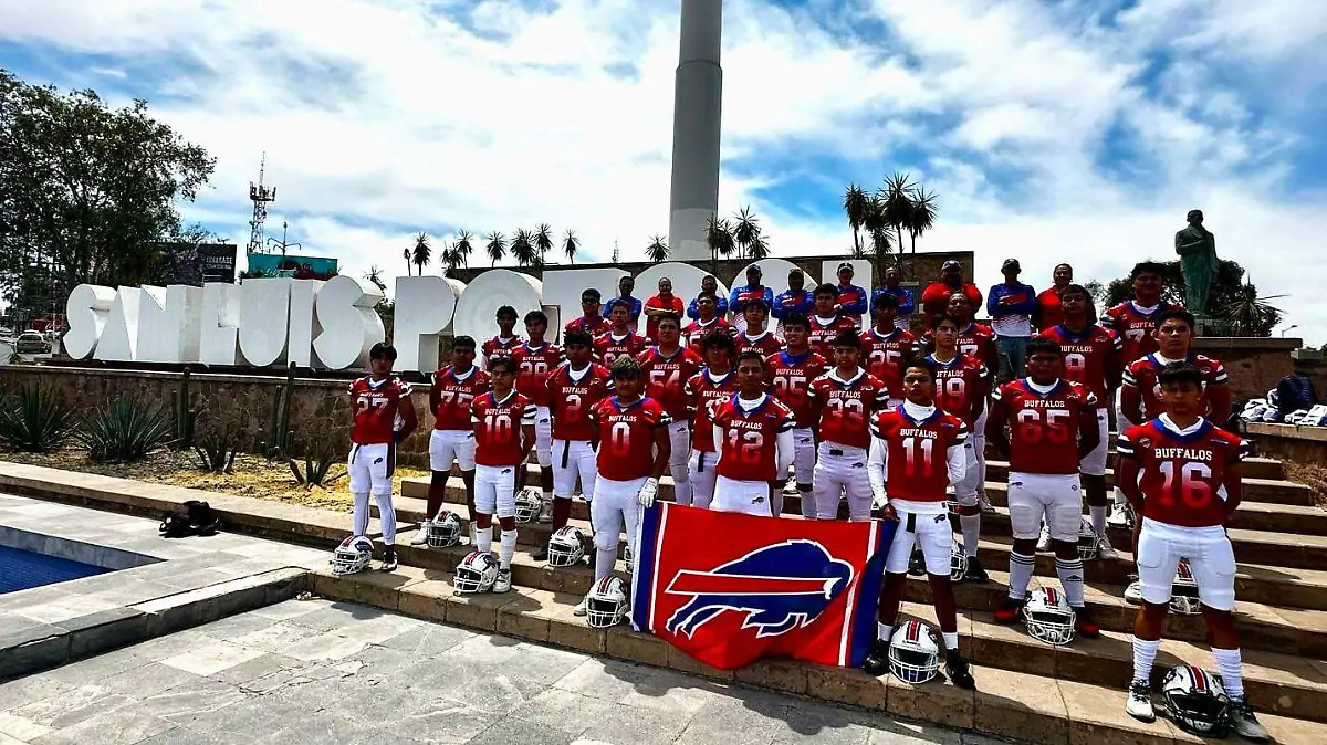 Búfalos de San Luis (2).jpg