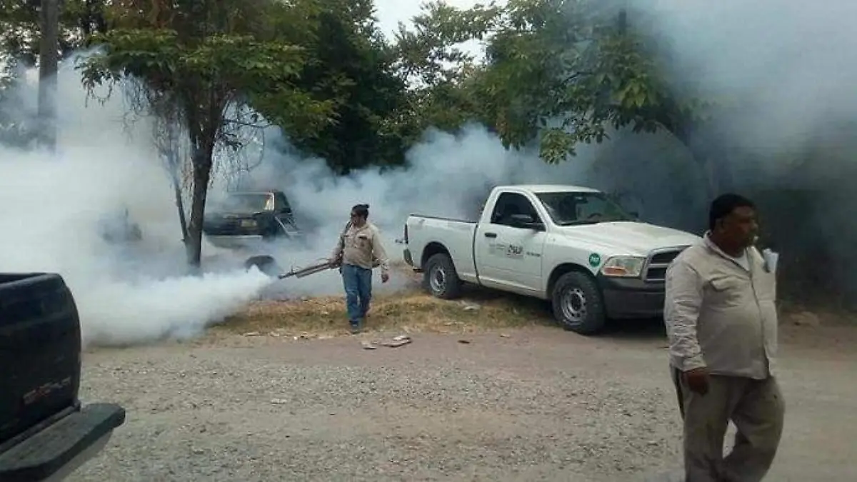 dengue acciones