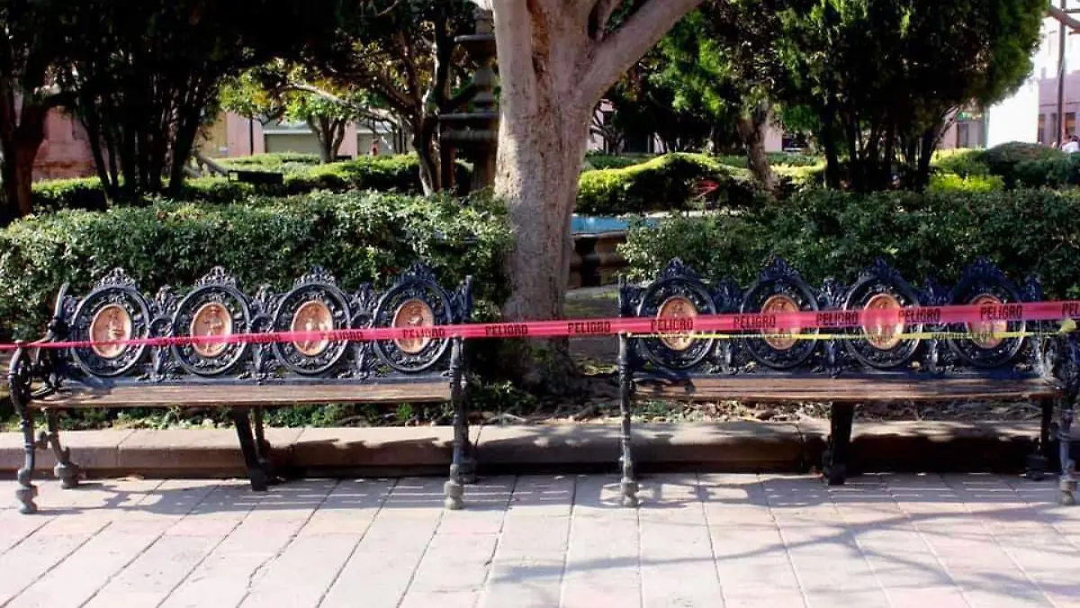  Plazas y jardines  (3)