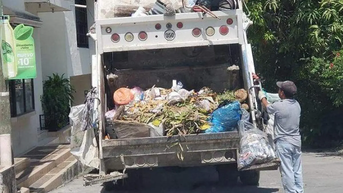 basura proyecto