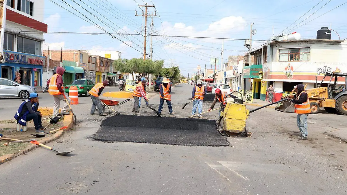 BACHEO 1