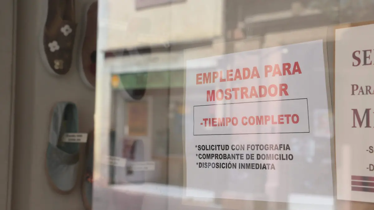 EMPLEO (2)