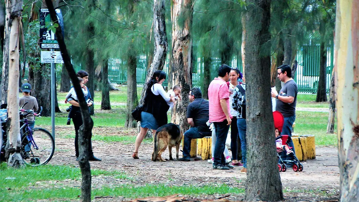Parque de Morales
