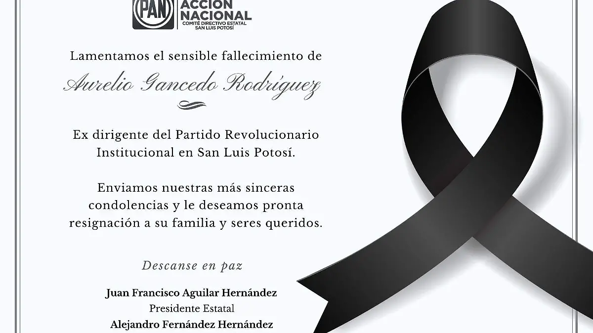 Acción Nacional SLP