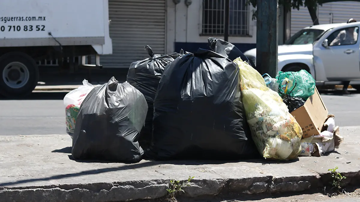 Bolsas-de-basura-LM