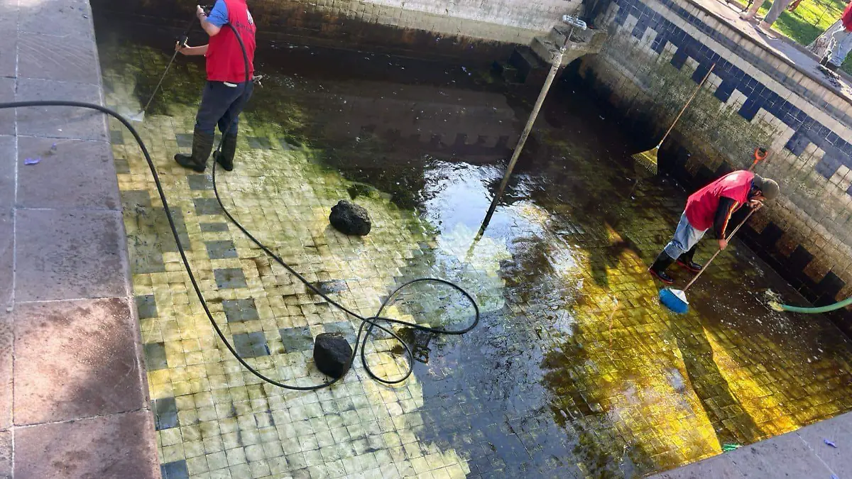 4d247590-5a07-45d6-9ff4-96a8c82fbd94