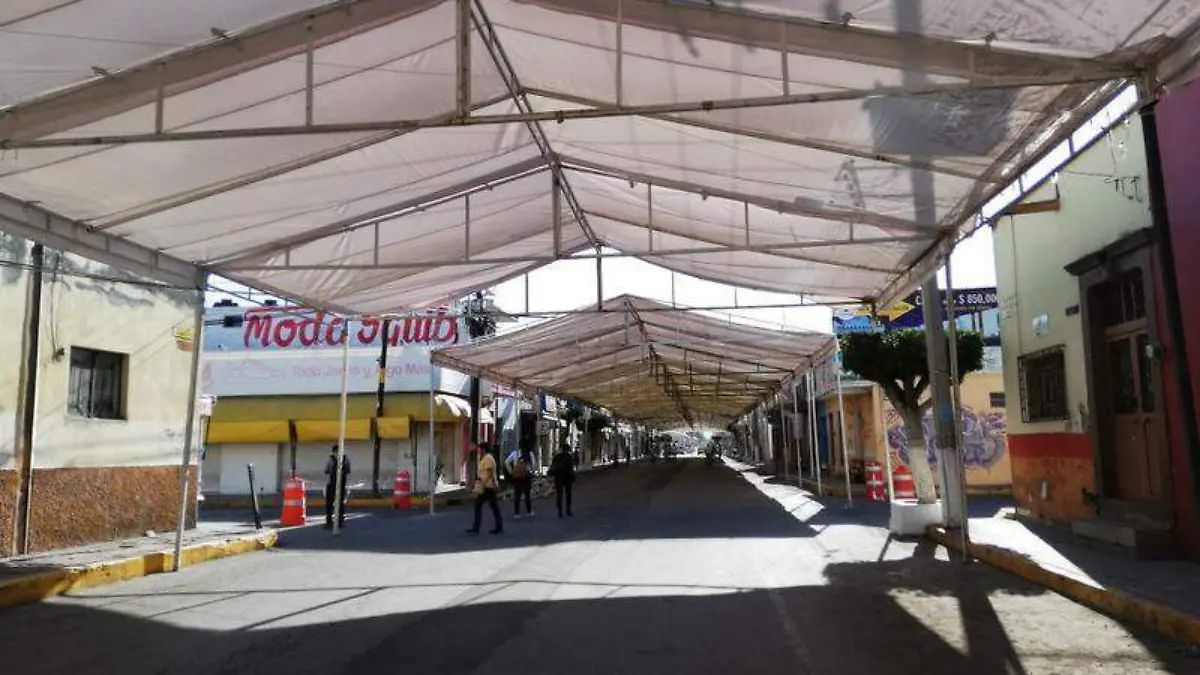pabellones comerciales fenae