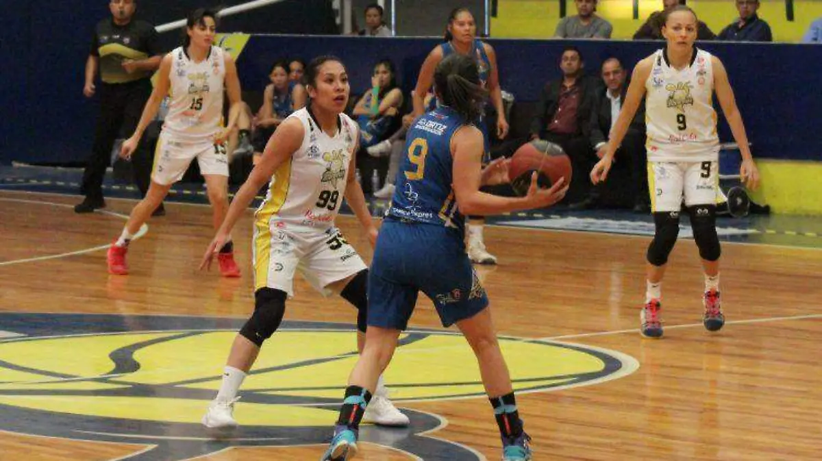 Mieleras de Guanajuato vs Acereras San Luis