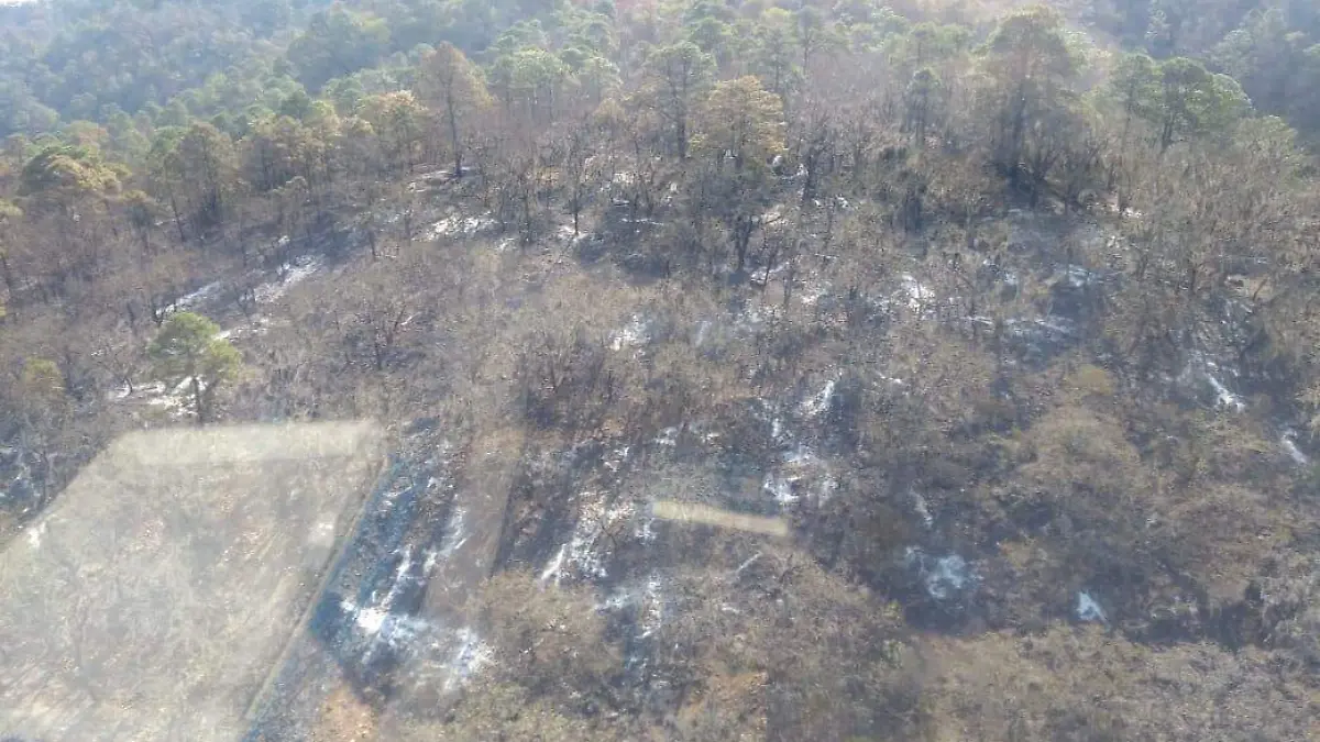 PC Incendios 160419 (3)