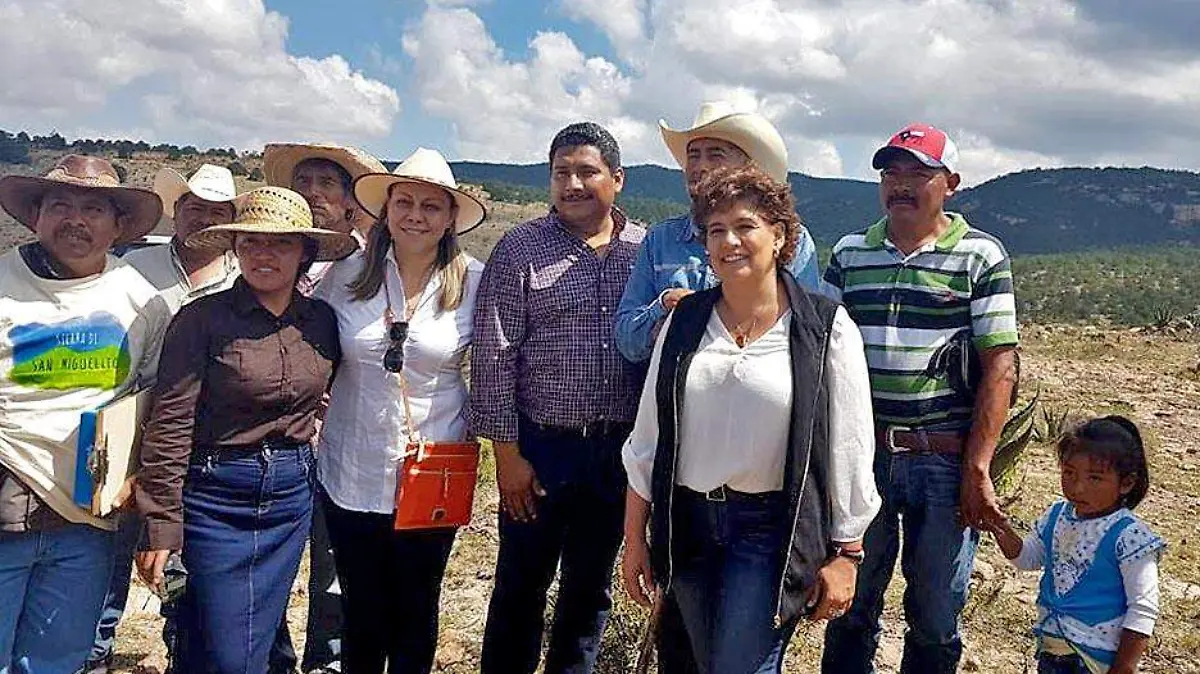 Dip. Laura Patricia Silva Celis, anuncia trabajos de reforestación en la sierra de San Miguelito