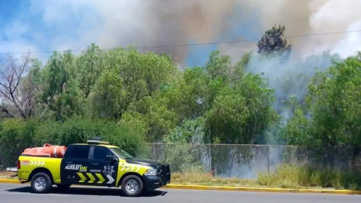 78f6445a-dbe9-4cfe-ae49-753c49abbf29