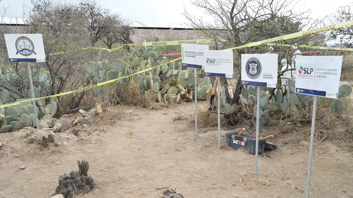 fosas clandestinas (3)