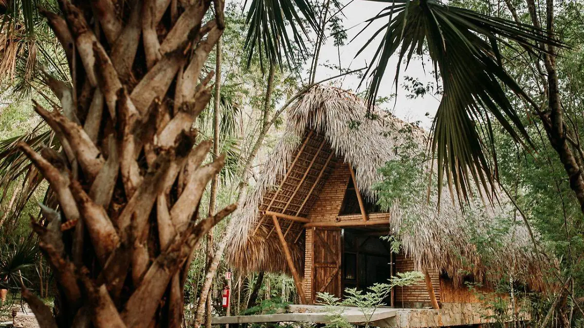 Selva Teenek Ecopark (2)