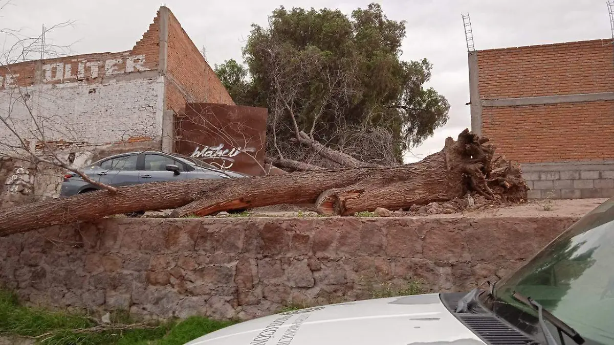 5a50c62f-4d00-469c-acfa-239d2225ca34