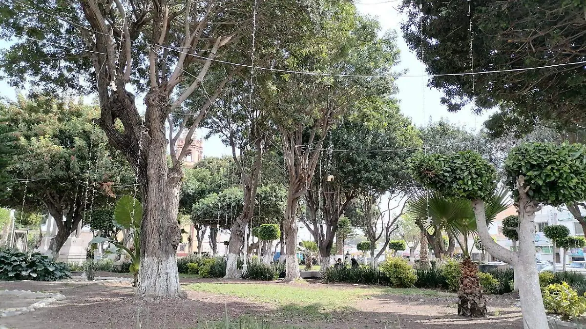 iluminación navideña soledad (4)