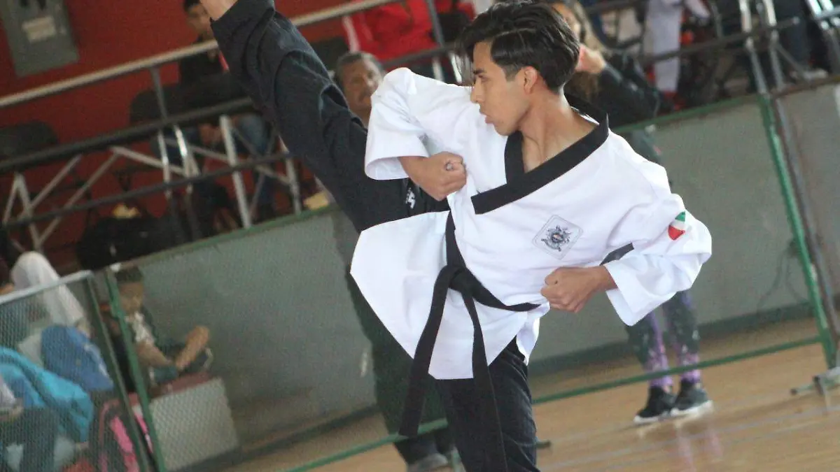taekwondo