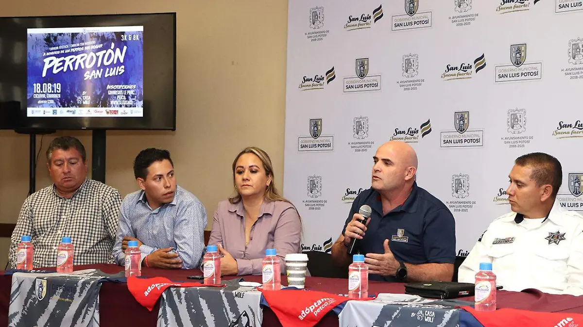 RUEDA D PRENSA PERROTON 4
