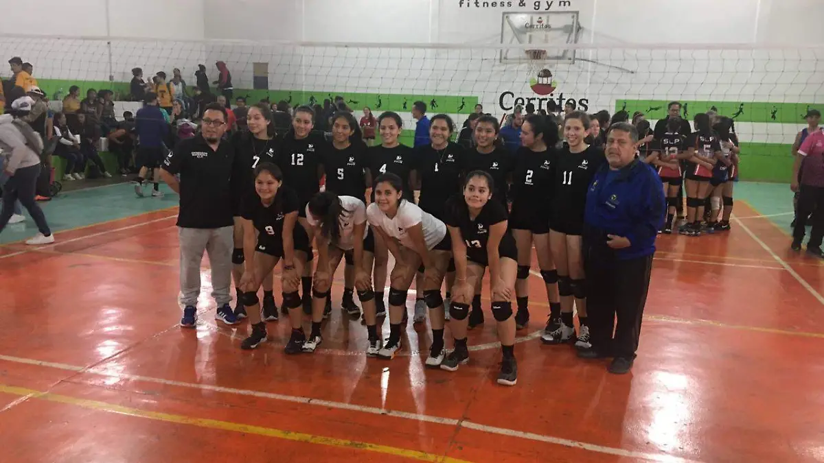 VOLEI (1)