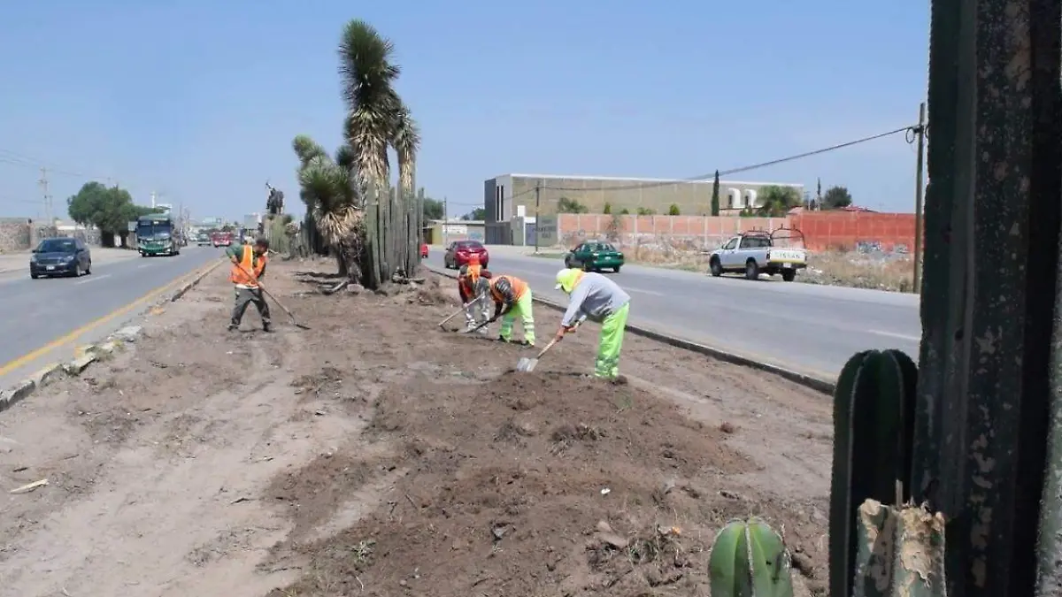 36501983_10214838060537931_8127936573560848384_n