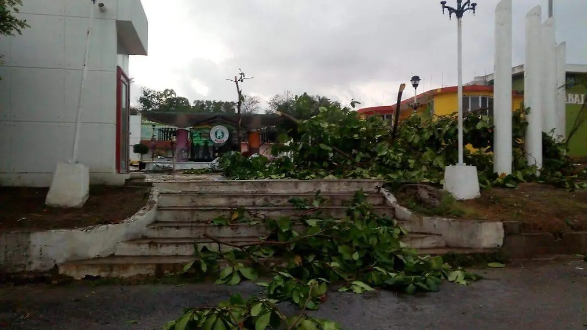 Tormenta y granizada huasteca potosina (2)